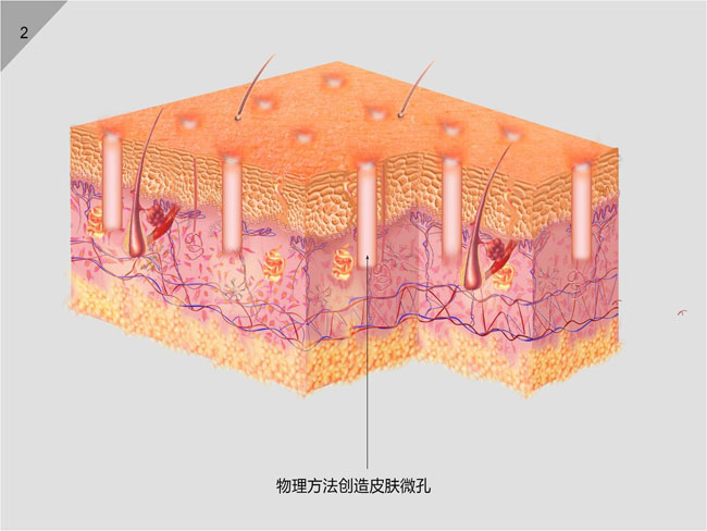 威客电竞(vkgame)-为竞技而生