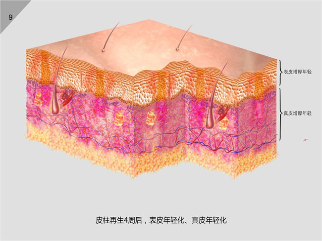 威客电竞(vkgame)-为竞技而生