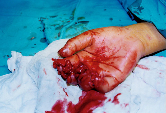 威客电竞(vkgame)-为竞技而生