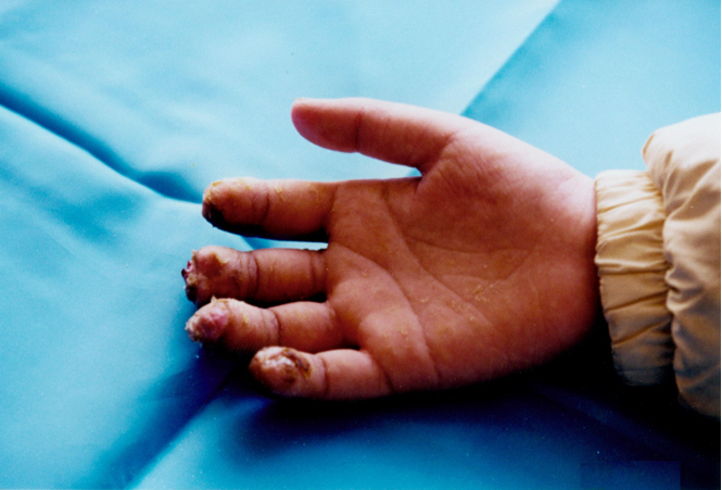 威客电竞(vkgame)-为竞技而生