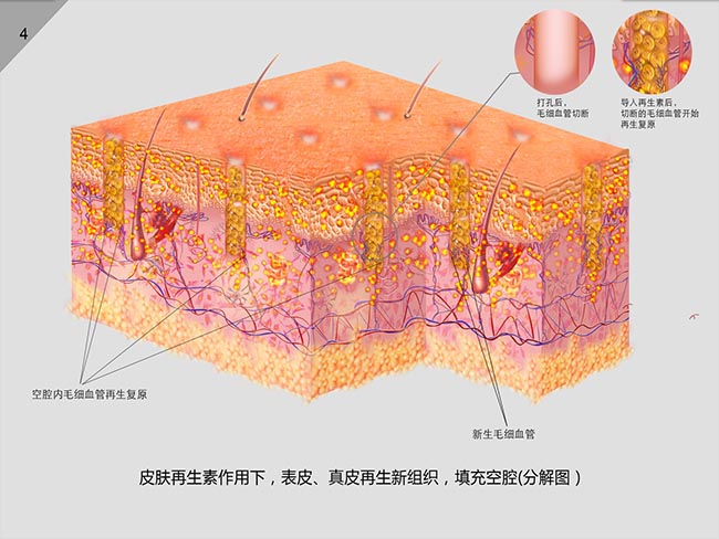 威客电竞(vkgame)-为竞技而生