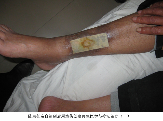 威客电竞(vkgame)-为竞技而生