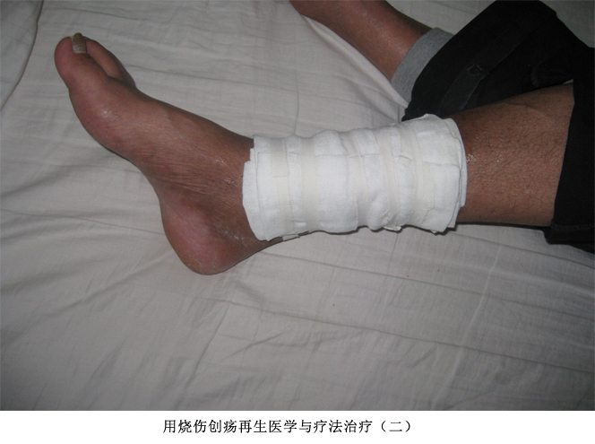 威客电竞(vkgame)-为竞技而生