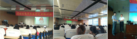 威客电竞(vkgame)-为竞技而生