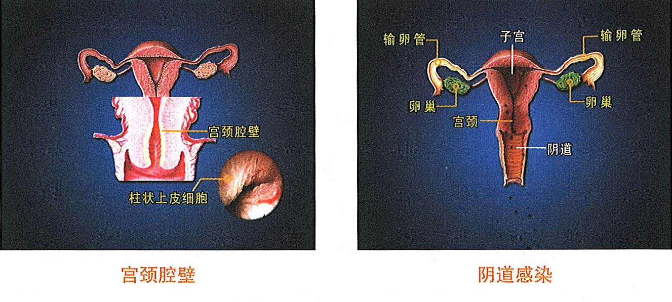 威客电竞(vkgame)-为竞技而生