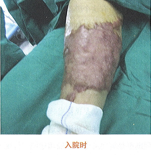 威客电竞(vkgame)-为竞技而生