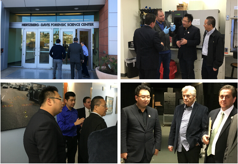 威客电竞(vkgame)-为竞技而生