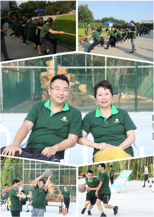 威客电竞(vkgame)-为竞技而生